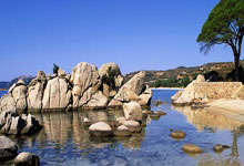 HAHA-勒沃库森迎欧联关键赛，今晚复出首秀，球迷炸锅，赛程密集仍需轮换的简单介绍